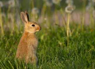 Lakko Uutiset: Näin Se Vaikuttaa Arkeesi Suomessa Lakko Uutiset: Näin Se Vaikuttaa Arkeesi Suomessa