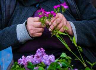 Lilja: Lilja Hoito-Opas – Näin Kasvatat Upeita Kukintoja Lilja: Lilja Hoito-Opas – Näin Kasvatat Upeita Kukintoja