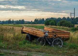 Maaseudun Tulevaisuus Yllättää: Näin Muuttuu Suomalainen Maaseutu Maaseudun Tulevaisuus Yllättää: Näin Muuttuu Suomalainen Maaseutu