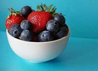 Marja Aronia: Marja Aronia Supermarjana – Kaikki Hyödyt Ja Käyttöideat Marja Aronia: Marja Aronia Supermarjana – Kaikki Hyödyt Ja Käyttöideat