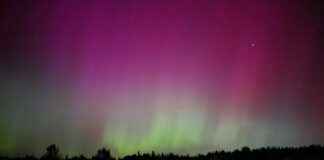 Mestarien Liiga Huipentuu: Kuka Vie Voiton Tänä Vuonna? Mestarien Liiga Huipentuu: Kuka Vie Voiton Tänä Vuonna?