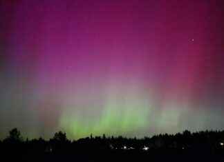 Mestarien Liiga Huipentuu: Kuka Vie Voiton Tänä Vuonna? Mestarien Liiga Huipentuu: Kuka Vie Voiton Tänä Vuonna?