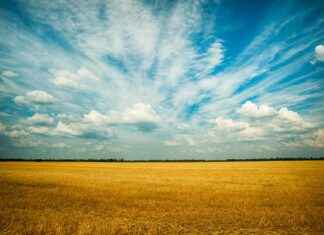 Miten Auttaa Ukrainaa Käytännössä Miten Auttaa Ukrainaa Käytännössä