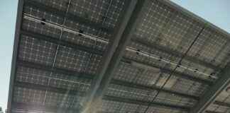 Miten Hävittää Ampiaispesä Turvallisesti Miten Hävittää Ampiaispesä Turvallisesti