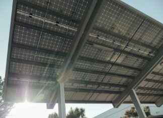 Miten Hävittää Ampiaispesä Turvallisesti Miten Hävittää Ampiaispesä Turvallisesti