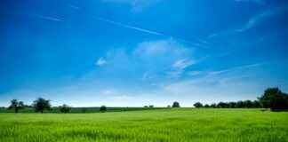 Miten Huono Työilmapiiri Näkyy Työpaikalla Miten Huono Työilmapiiri Näkyy Työpaikalla