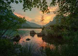 Miten Kasvattaa Hiuksia 5 cm Kuukaudessa: Onko Se Mahdollista? Miten Kasvattaa Hiuksia 5 cm Kuukaudessa: Onko Se Mahdollista?
