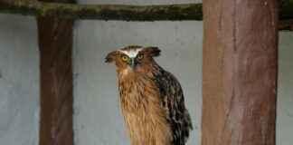 Miten Laskea Prosentti Yksinkertaisesti Miten Laskea Prosentti Yksinkertaisesti