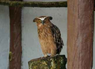 Miten Laskea Prosentti Yksinkertaisesti Miten Laskea Prosentti Yksinkertaisesti