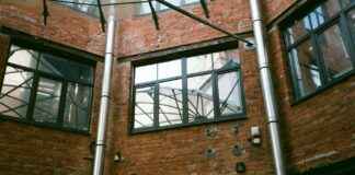 Miten Mykoplasma Todetaan: Oireet ja Testaus Miten Mykoplasma Todetaan: Oireet ja Testaus