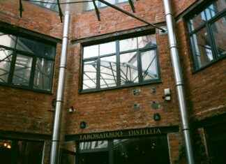 Miten Mykoplasma Todetaan: Oireet ja Testaus Miten Mykoplasma Todetaan: Oireet ja Testaus