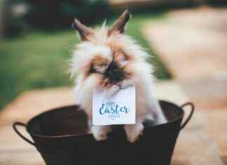 Miten Pääsiäinen Määräytyy Kalenterissa Miten Pääsiäinen Määräytyy Kalenterissa