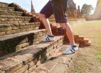 Miten Piirtää Hevonen Vaihe Vaiheelta Miten Piirtää Hevonen Vaihe Vaiheelta