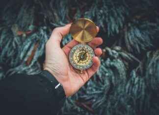 Miten Rapuja Syödään: Opas Aloittelijalle Miten Rapuja Syödään: Opas Aloittelijalle