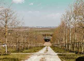 Neulemekko: Neulemekko Syksyyn – Lämpöä Ja Tyylikkyyttä Samassa Neulemekko: Neulemekko Syksyyn – Lämpöä Ja Tyylikkyyttä Samassa