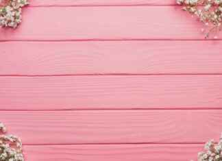 Palju: Palju Pihalle – Näin Valitset Ja Huollat Oikein Palju: Palju Pihalle – Näin Valitset Ja Huollat Oikein