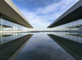 Peikonlehti: Peikonlehti Hoito-Opas – Näin Kasvatat Viidakon Keskelle Kotiisi Peikonlehti: Peikonlehti Hoito-Opas – Näin Kasvatat Viidakon Keskelle Kotiisi