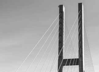 Peura: Peura Suomen Luonnossa – Näin Tunnistat Ja Ymmärrät Käytöksen Peura: Peura Suomen Luonnossa – Näin Tunnistat Ja Ymmärrät Käytöksen