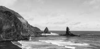 Ruohonleikkuri Vertailu: Näin Valitset Parhaan Pihallesi Ruohonleikkuri Vertailu: Näin Valitset Parhaan Pihallesi