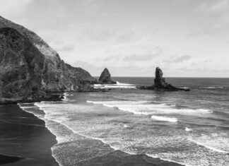 Ruohonleikkuri Vertailu: Näin Valitset Parhaan Pihallesi Ruohonleikkuri Vertailu: Näin Valitset Parhaan Pihallesi