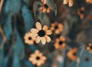 Sähkön Spot Hinta Tänään: Näin Hyödyt Muuttuvista Hinnoista Sähkön Spot Hinta Tänään: Näin Hyödyt Muuttuvista Hinnoista