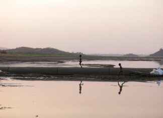 Salvia: Salvia Käytössä – Näin Hyödynnät Tämän Monipuolisen Yrtin Salvia: Salvia Käytössä – Näin Hyödynnät Tämän Monipuolisen Yrtin