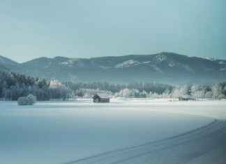 Särkänniemi Vinkkaa: Parhaat Tavat Viettä Kesäpäivä Särkänniemi Vinkkaa: Parhaat Tavat Viettä Kesäpäivä