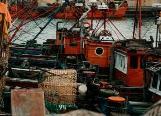 Särki Pyydystys Ja Valmistus Vinkkejä Kalastajille # Särki Pyydystys Ja Valmistus Vinkkejä Kalastajille Särki Pyydystys Ja Valmistus Vinkkejä Kalastajille # Särki Pyydystys Ja Valmistus Vinkkejä Kalastajille