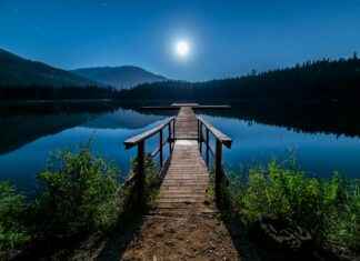 Sinivuokko: Sinivuokko Kevään Kukkija – Näin Suojelet Ja Ihastut Sinivuokko: Sinivuokko Kevään Kukkija – Näin Suojelet Ja Ihastut