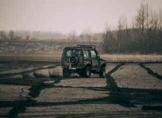 Sitruunahappo Kodin Monitoimiaine: Näin Hyödynnät Sen Parhaiten Sitruunahappo Kodin Monitoimiaine: Näin Hyödynnät Sen Parhaiten