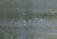 Skorpioni Horoskooppi: Mitä Tähdet Lupaavat Tälle Merkille Skorpioni Horoskooppi: Mitä Tähdet Lupaavat Tälle Merkille