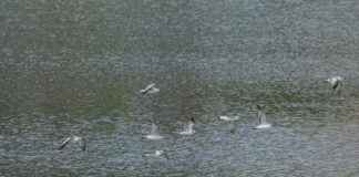 Skorpioni Horoskooppi: Mitä Tähdet Lupaavat Tälle Merkille Skorpioni Horoskooppi: Mitä Tähdet Lupaavat Tälle Merkille