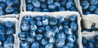 Taateli: Taateli Terveysherkkuna – Kaikki Hyödyt Ja Käyttötavat Taateli: Taateli Terveysherkkuna – Kaikki Hyödyt Ja Käyttötavat