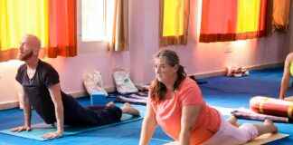 Traakkipuu: Traakkipuu Hoito-Opas – Näin Saat Sisätiloihin Vehreyttä Traakkipuu: Traakkipuu Hoito-Opas – Näin Saat Sisätiloihin Vehreyttä