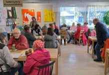 Vaasan kissatalo keräsi 50 000 euroa kolmen euron lahjoituksilla vaasan-kissatalo-kersi-50-000-euroa-kolmen-euron-lahjoituksilla