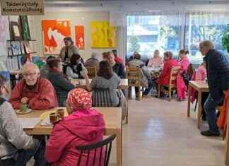 Vaasan kissatalo keräsi 50 000 euroa kolmen euron lahjoituksilla vaasan-kissatalo-kersi-50-000-euroa-kolmen-euron-lahjoituksilla