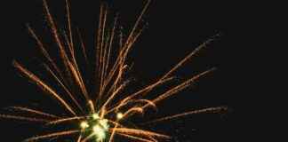 Viikuna: Viikuna Herkkuna – Näin Kasvatat Ja Käytät Tätä Eksoottista Hedelmää Viikuna: Viikuna Herkkuna – Näin Kasvatat Ja Käytät Tätä Eksoottista Hedelmää