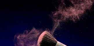 Viirivehka: Viirivehka Sisäilman Parantajana – Näin Hoidat Oikein Viirivehka: Viirivehka Sisäilman Parantajana – Näin Hoidat Oikein