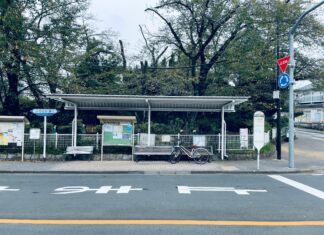 Yksi Lensi Yli Käenpesän: Miksi Tämä Elokuva Valloittaa Sydämet?