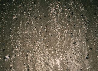 Ex On The Beach Suomi: Miksi Tämä Reality-Sarja Valloittaa Mielen?