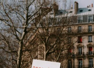 Jyväskylän MM-Ralli 2022 Reitti: Miksi Se Valloittaa Yleisön?