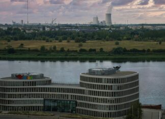 Kaikki Suomen Linnut Kuvina: Löydä Upeat Lintukuvat Nyt!