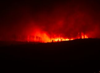 Sää Puerto De La Cruz: Miksi Se On Täydellinen Lomakohde?