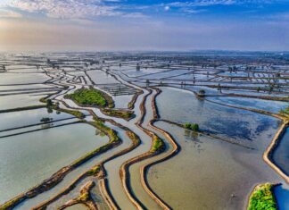 Kesäolympialaiset Aikataulu Ja Tulokset: Mitä Odottaa Tänä Kautena?