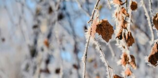 Taru Sormusten Herrasta Tampere: Miksi Se On Pakko Kokea?