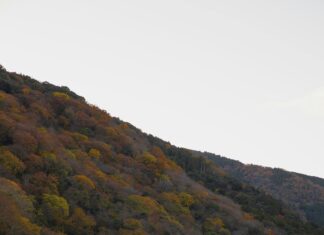 Eurojackpot Perjantai Jokeri Ja Lomatonni: Voita Suuri Potti!