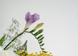 McDonald’s Helsinki Forum Katutasolla: Miksi Se On Pakko Kokea?