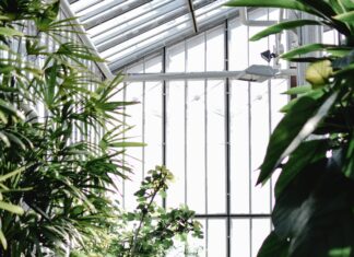 Vauva Fi Aihe Vapaa: Löydä Inspiroivia Vinkkejä Vanhemmuuteen